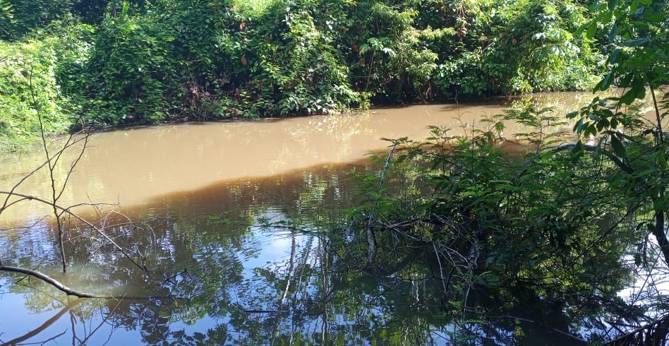 Defensoria apura denC3BAncia de poluiC3A7C3A3o em lago de Coari 1