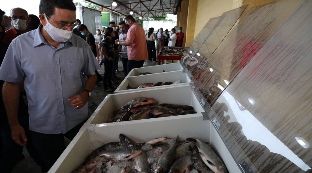Governo do Amazonas inicia distribuição de pescado para pessoas em situação  de vulnerabilidade social
