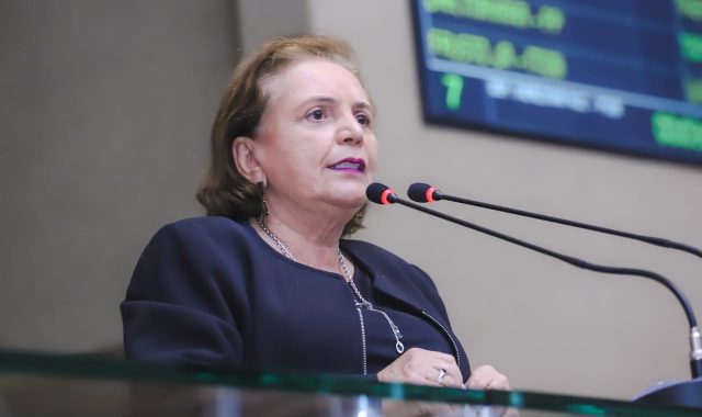 16 Dep.Therezinha Ruiz quer a inclusaI o da liI ngua espanhola no ensino meI dio da rede estadual 640x380 1