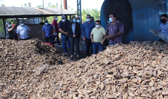 10 Dep. SineI sio Campos realiza visita teI cnica a comunidades rurais de manejo sustentaI vel do babacI u no MaranhaI o 640x380 1