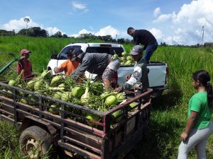 Idam 2809 Entrega de Alimentos PAA 2 300x225 1