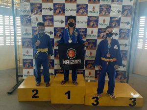 PMAM 30a Cicom 3 300x225 1