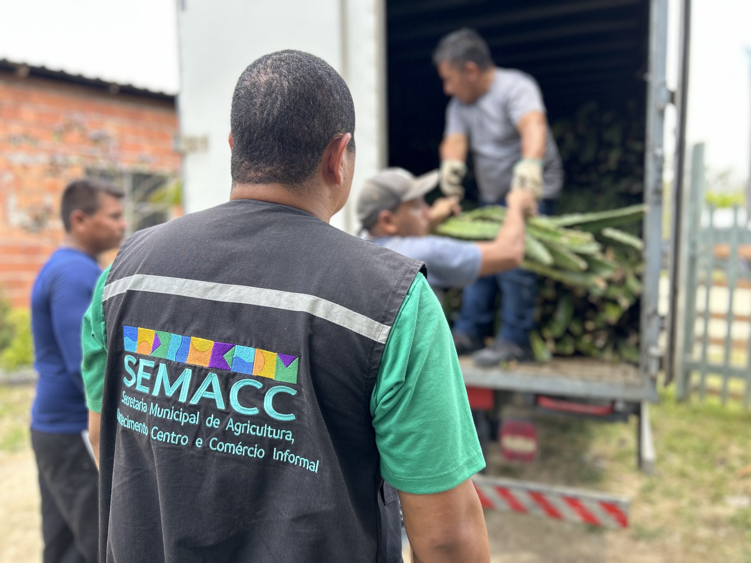 Prefeitura de Manaus distribuiu no primeiro trimestre cerca de 25 mil mudas de pitaya para fomentar a agricultura familiar 2 scaled 1