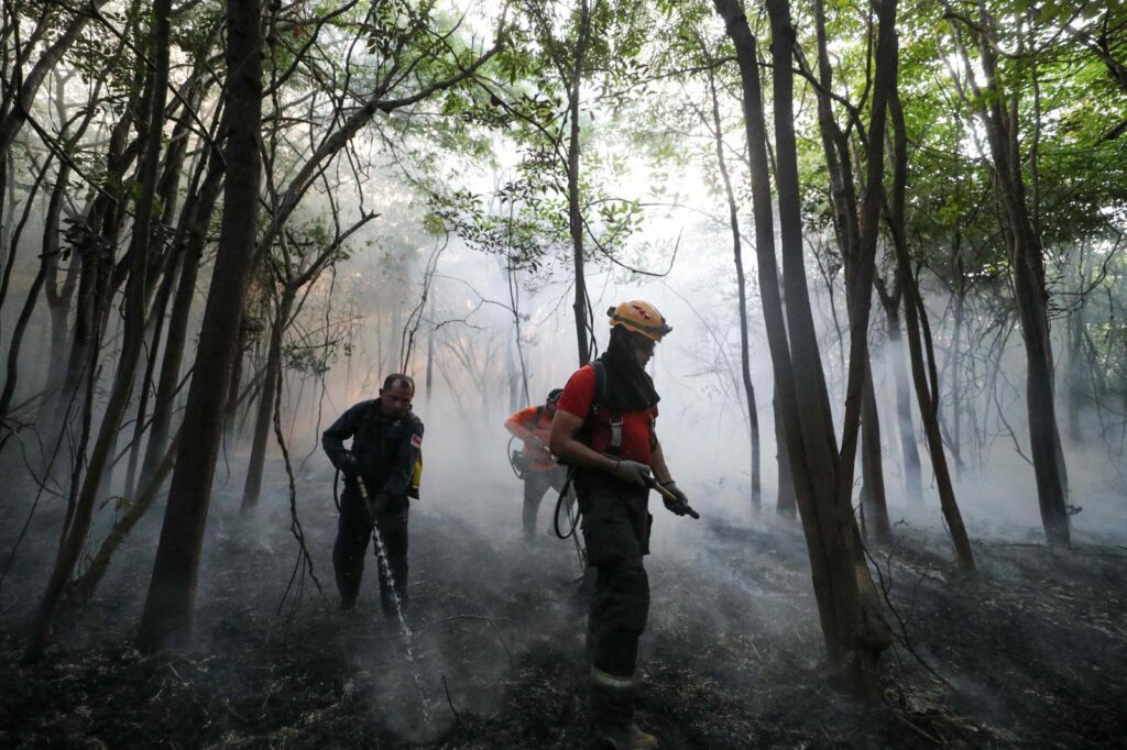 Medidas repressivas do Governo do Amazonas no combate a crimes ambientais resultam em acoes de embargos multas e infracoes 3 Mauro Neto Secom 1024x682 1