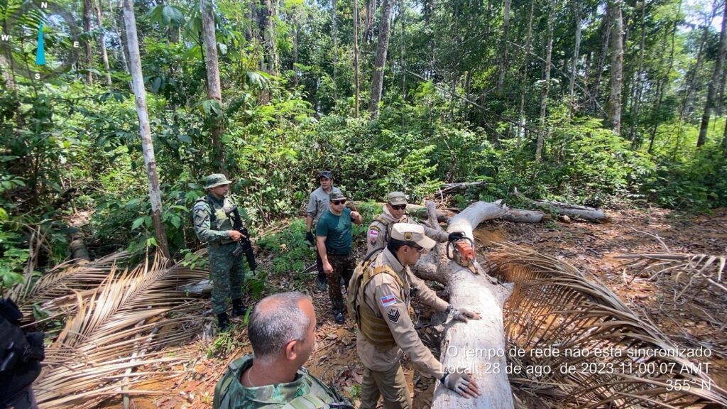 Medidas repressivas do Governo do Amazonas no combate a crimes ambientais resultam em acoes de embargos multas e infracoes 6 Divulgacao SSP AM 1024x576 1