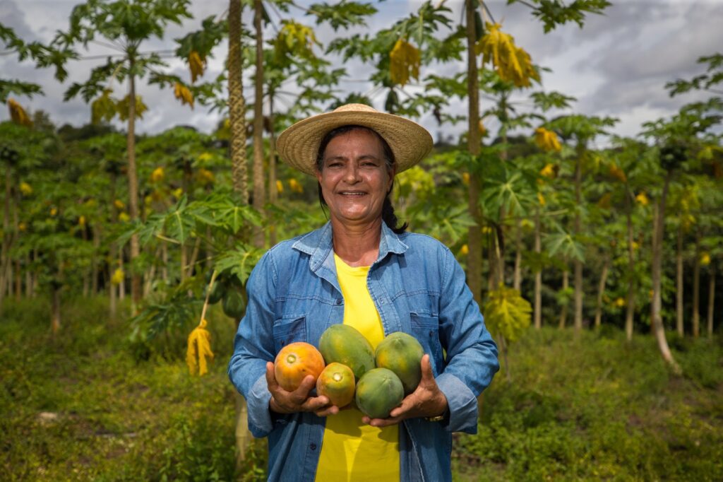 Governo do Amazonas investiu R 78 milhoes na aquisicao de alimentos da agricultura familiar em 2023 Foto Arquivo Secom 3 1024x682 1