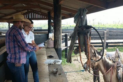 ADAF1 Vacinacao obrigatoria contra raiva dos herbivores em mais 2 cidades Divulgacao Adaf