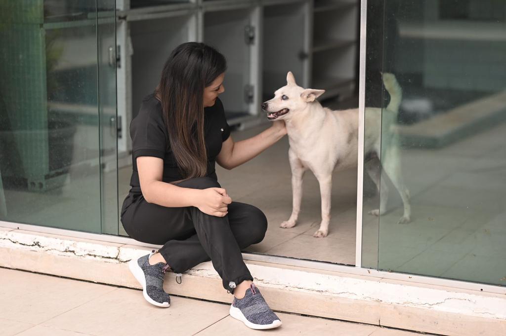 Deputada Joana Darc faz campanha para divulgacao de animais disponiveis para adocao no Amazonas