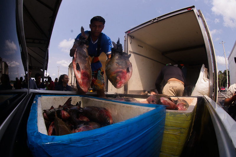 Doacao de pescado foto Arthus Castro. 2 1