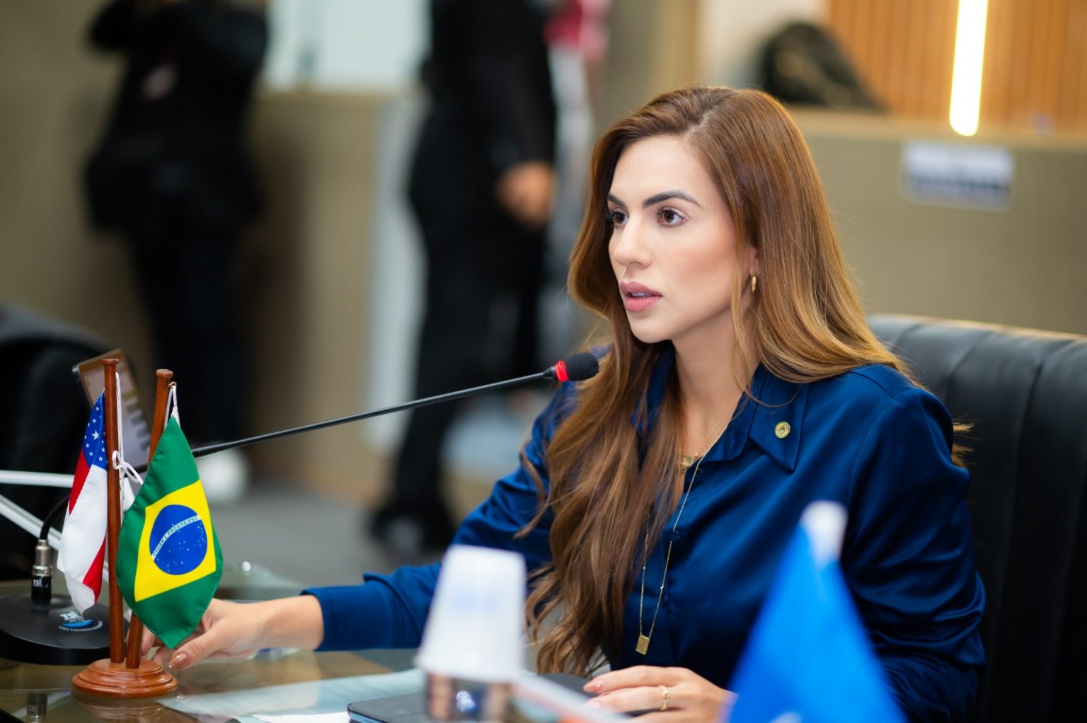 Debora Menezes tem cinco Projetos de Lei aprovados em um dia na Aleam Foto Daniel Nogueira R8sJ02