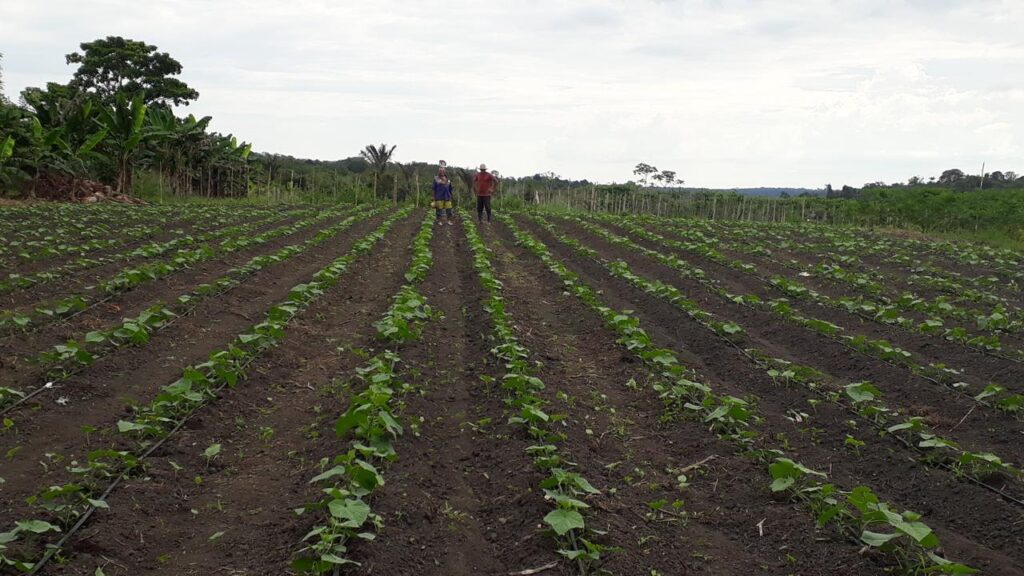 ADS Balcao de Agronegocios ADS auxilia no escoamento de mais de 90 toneladas em produtos regionais em abril Personagem Sebastiao Vieira Foto Divulgacao ADS 1 1 1024x576 3FHtNs