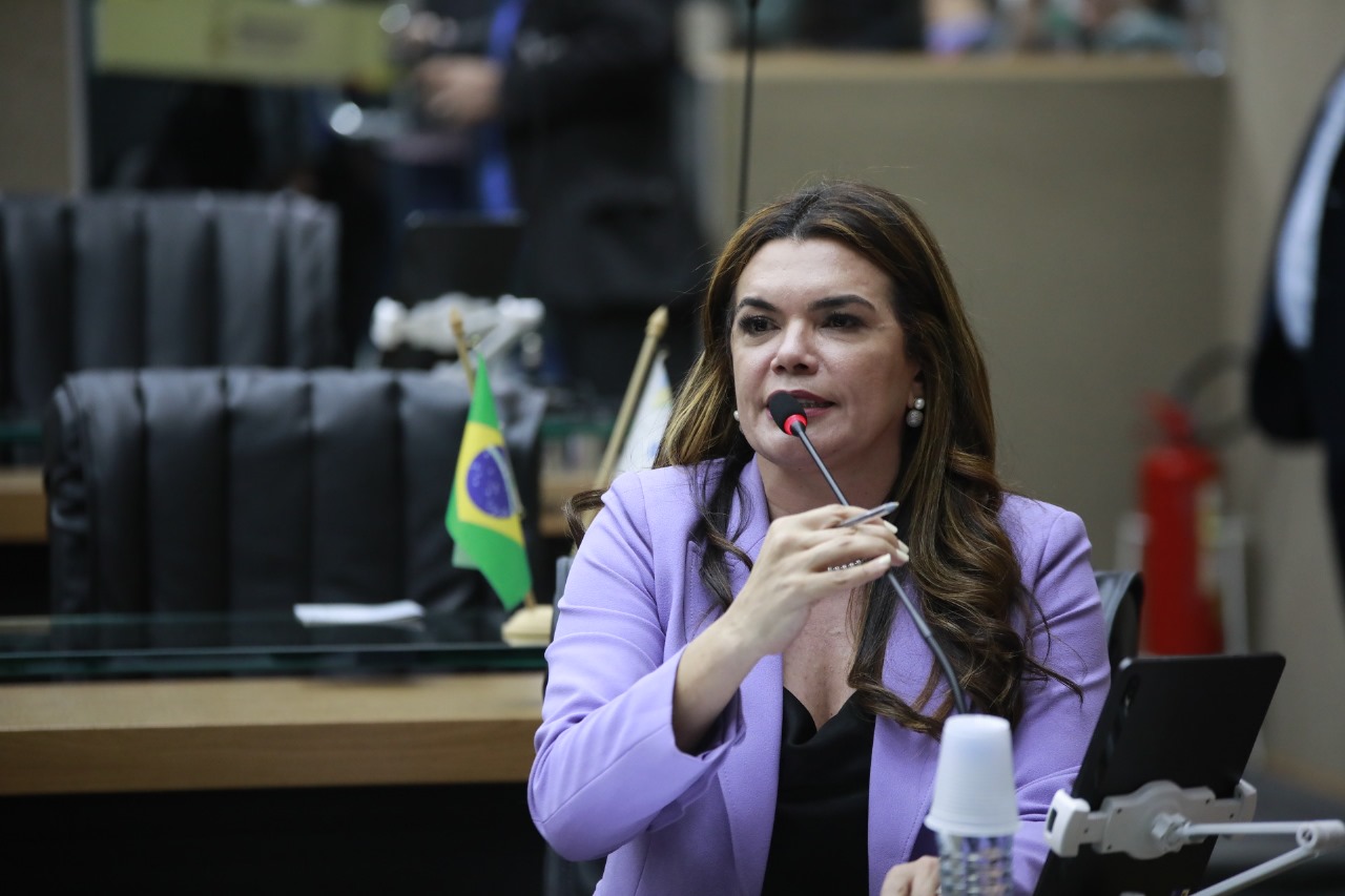 Assembleia Legislativa do Amazonas recebe proposta para criar o Observatorio da Violencia contra a Mulher Foto Danilo Mello 5AStNb