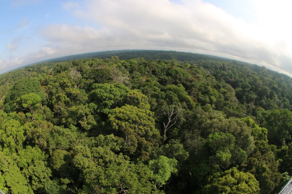 Fapeam Memorias bioculturais e biodiversidades Foto Arquivo Secom 1024x682 rUWEhZ