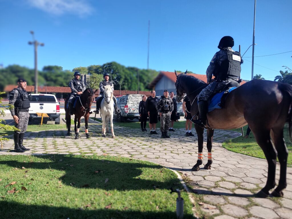 PMAM POLICIAMENTO MONTADO DA PMAM TRAZ VISIBILIDADE E IMPONENCIA EM ACOES DE SEGURANCA PUBLICA FOTO02 DIVULGACAO PMAM 1 1024x768 BzJnaW