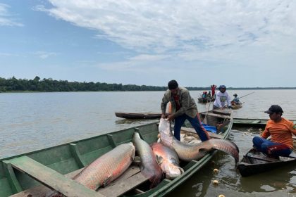 Pesca RDS Mamiraua foto Larissa Franca 1024x768 AnSaeV