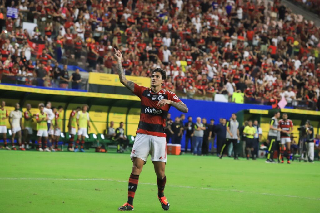 SEDEL Pedro do Flamengo Comemora Gol na Arena da Amazonia FOTO Julcemar Alves Sedel 1024x683 EHgosR