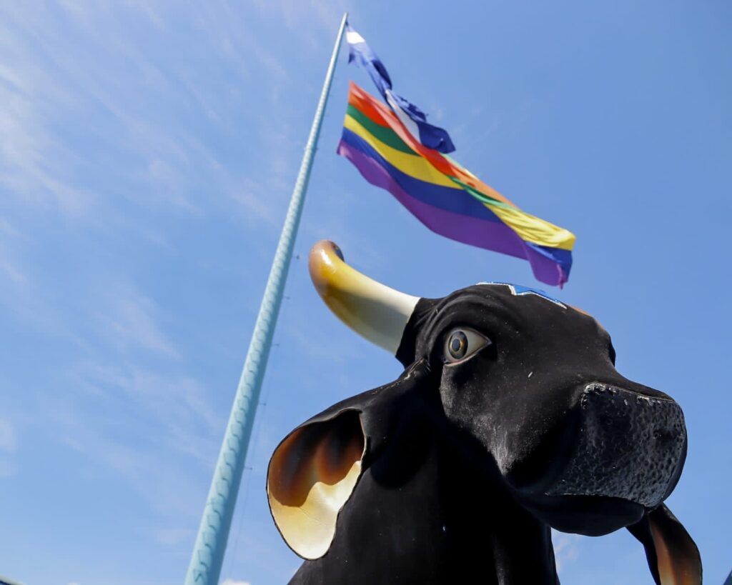 Dia do Orgulho torcedores de Caprichosos e Garantido exaltam simbolismo da bandeira LGBTQIAPN nos curraisC2 1 1024x819 1