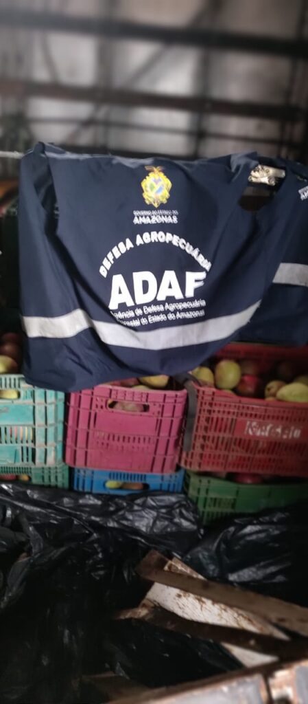 FOTO2 Adaf apreende sete toneladas de frutos com entrada proibida no Amazonas durante o fim de semana 449x1024 1