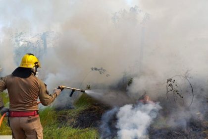 CBMAM INCENDIO EM AREA DE VEGETACAO EM MANICORE FOTO DIVULGACAO 1024x641 1