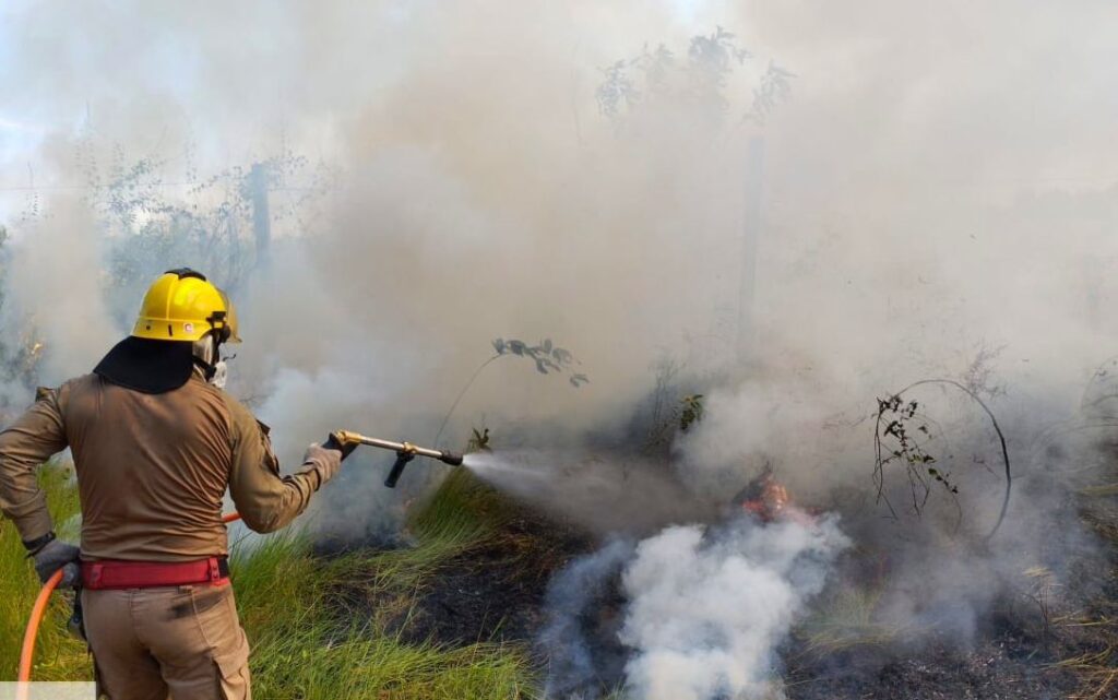 CBMAM INCENDIO EM AREA DE VEGETACAO EM MANICORE FOTO DIVULGACAO 1024x641 1