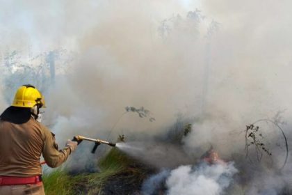 CBMAM INCENDIO EM AREA DE VEGETACAO EM MANICORE FOTO DIVULGACAO 577x435 RykEe2