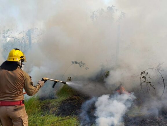 CBMAM INCENDIO EM AREA DE VEGETACAO EM MANICORE FOTO DIVULGACAO 577x435 RykEe2