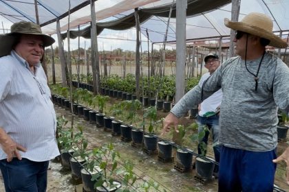 Idam promove medidas para minimizar efeitos da estiagem em sistemas protegidos0 Foto Marfram Vieira