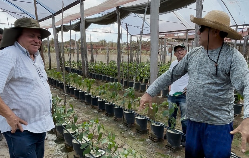 Idam promove medidas para minimizar efeitos da estiagem em sistemas protegidos0 Foto Marfram Vieira