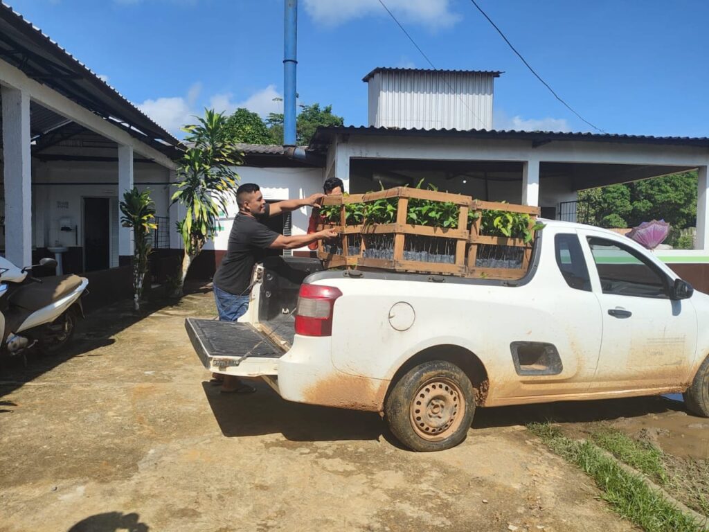 Idam Idam distribui 25 mil mudas de castanha a agricultores familiares de Beruri Fotos Divulgacao 2 1024x768 1