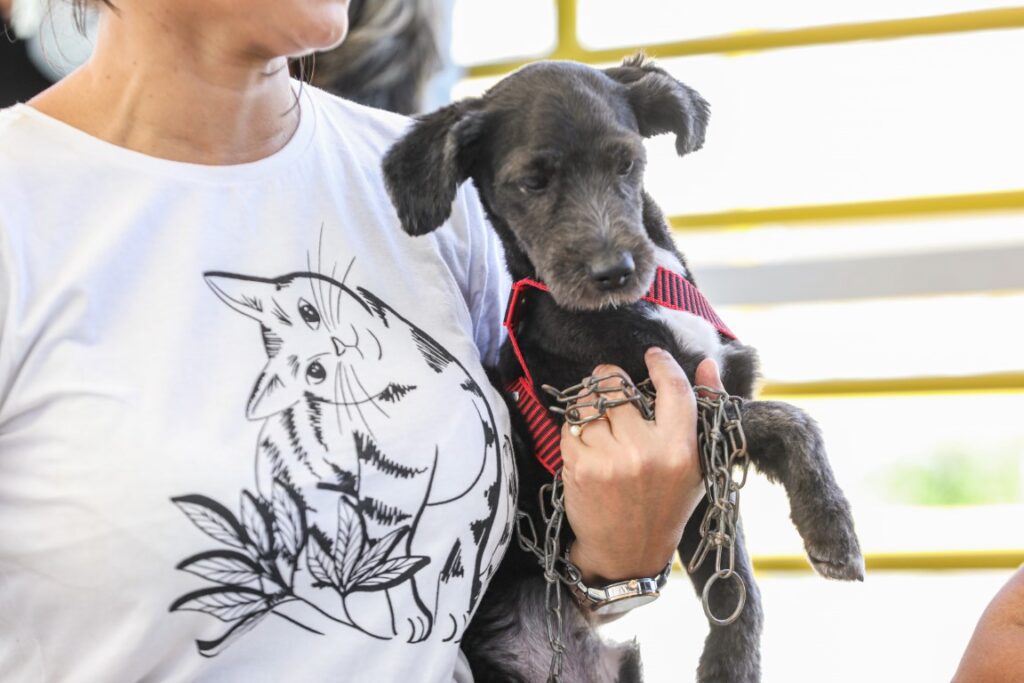 Policia Civil do Amazonas alerta que maus tratos contra animais podem resultar em prisao de 2 a 5 anos Foto Mauro Neto Secom 2 1024x683 1