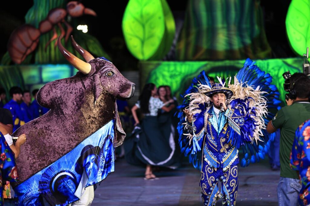 cultura bois bumbas de manaus sambodromo david martins 04 1024x682 1