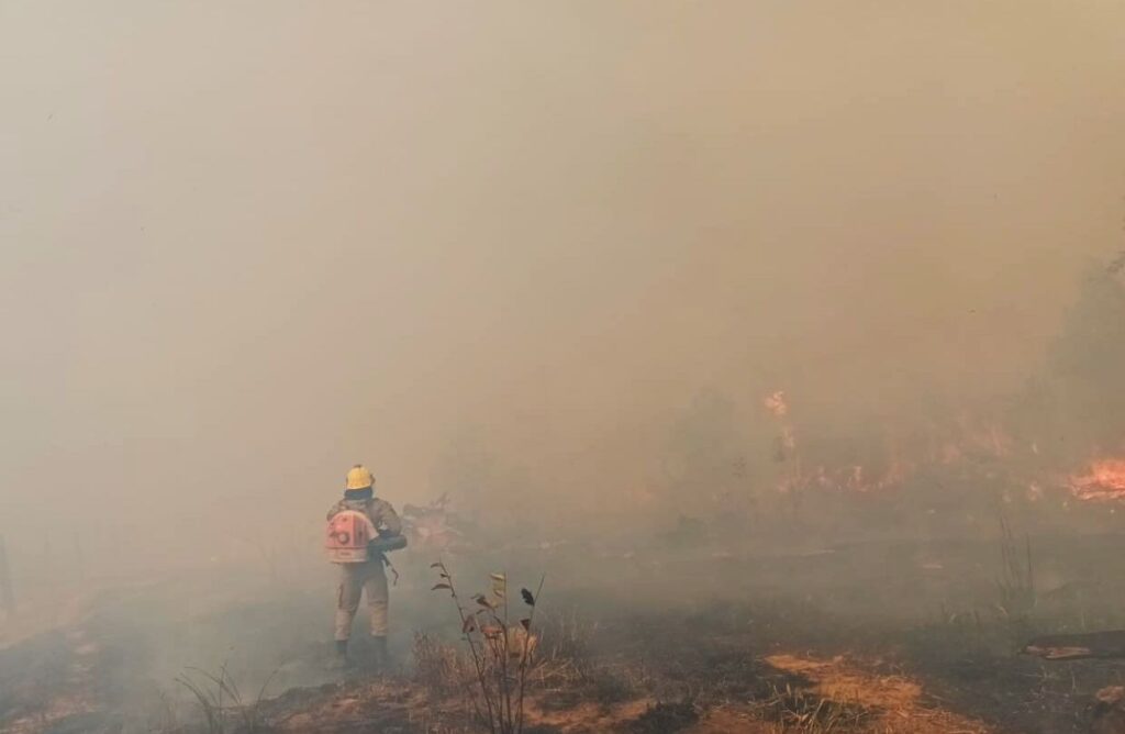 CBMAM INCENDIO EM PASTO APUI 02 1024x668 1