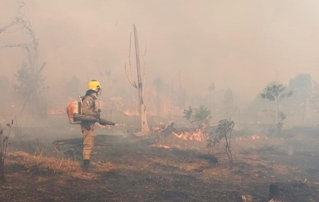 CBMAM INCENDIO EM PASTO APUI 1024x648 1