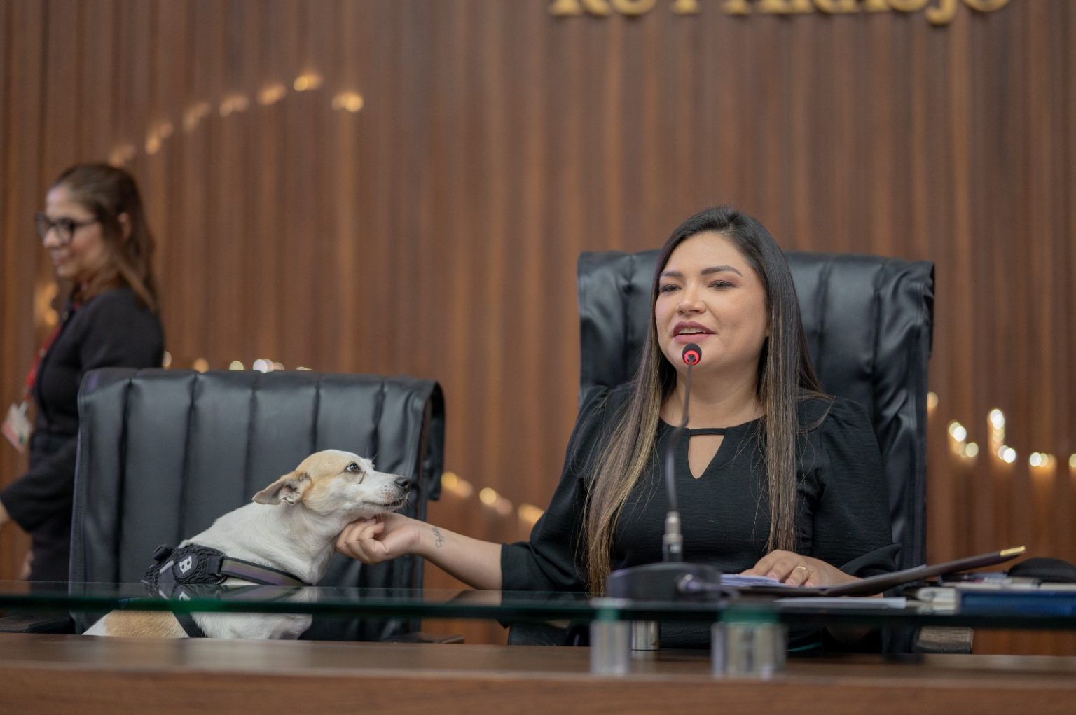 No Dia Mundial do Cachorro deputada Joana Darc faz campanha para adocao de animais sem raca definida e faz alerta contra os maus tratos mE1ISO