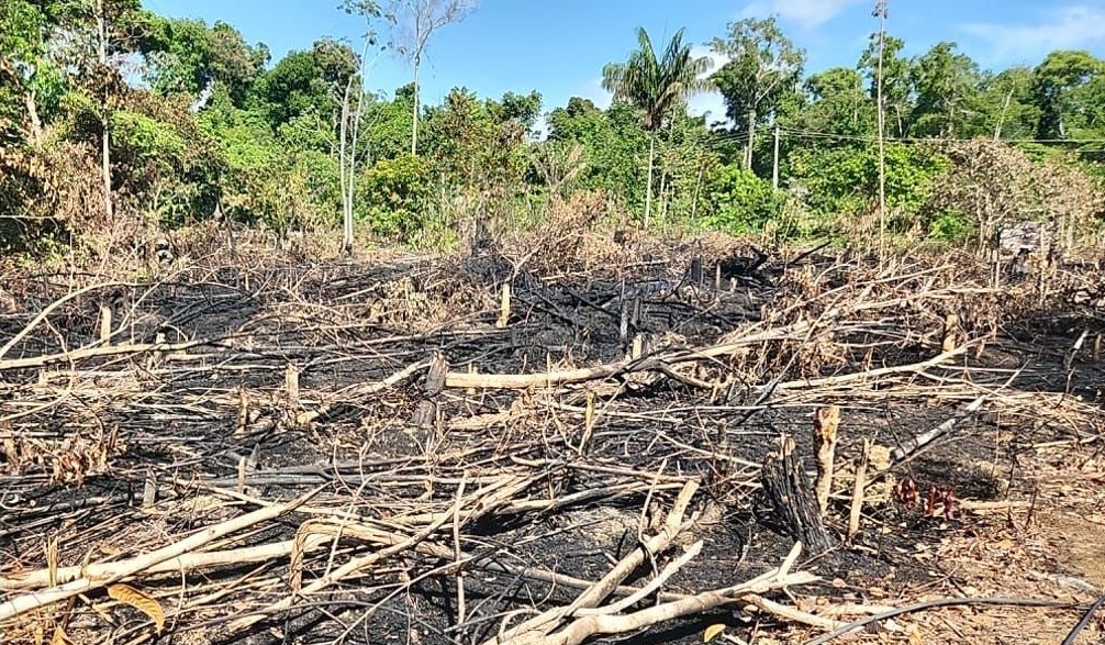 PCAM OPERACAO DEMA FOTO ERLON RODRIGUES 1