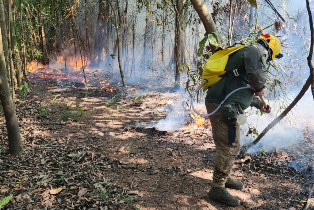 02 Sema Equipes apagam chamas em Unidade de Conservacao no Rio Negro 1024x684 1