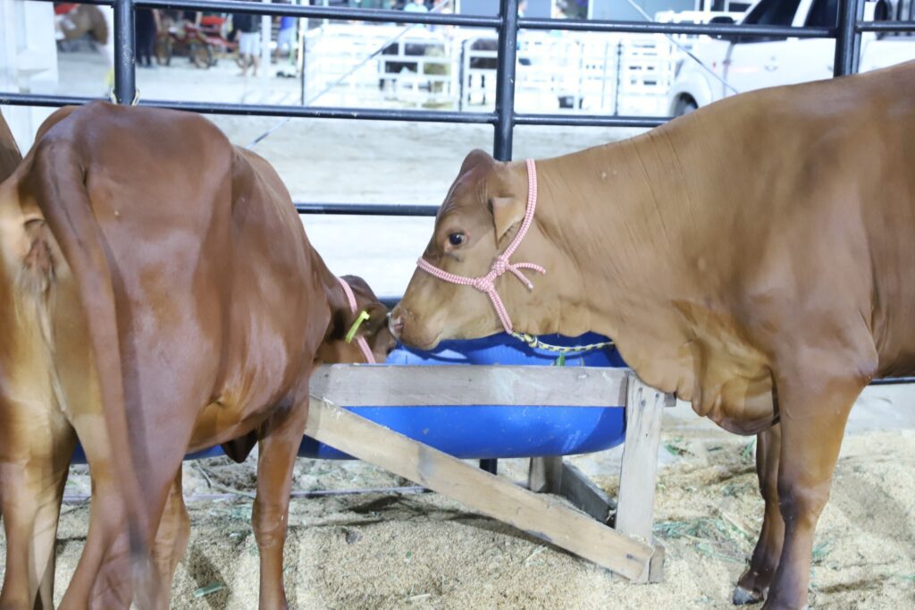 Foto Isaac Maia Sepror Expoagro Exposicao 3 1024x682 1