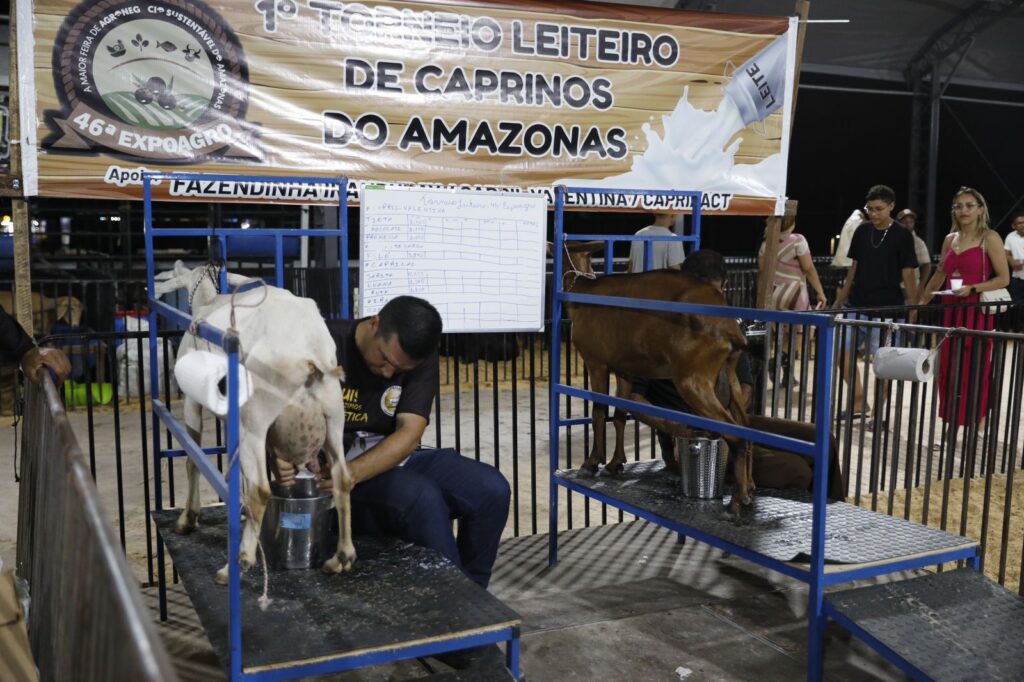 Sepror Torneio Caprinos foto Mauro Neto Secom 2 1024x682 1