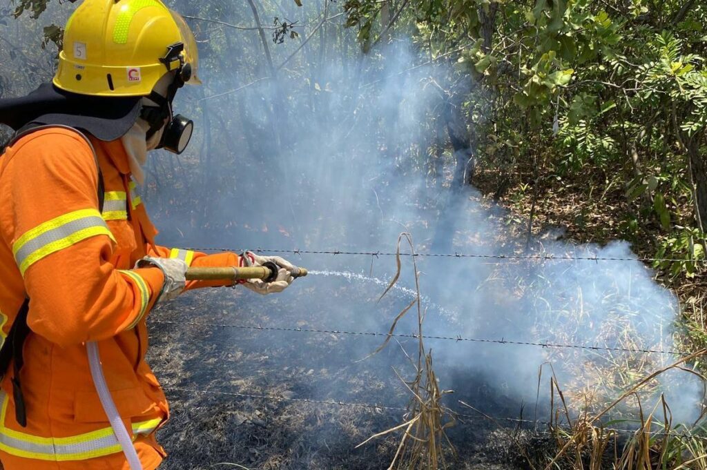 CBMAM 20 MIL FOCOS DE INCENDIO COMBATIDOS 1 1024x681 1