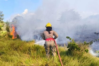 CBMAM 20 MIL FOCOS DE INCENDIO COMBATIDOS 2 1024x648 1