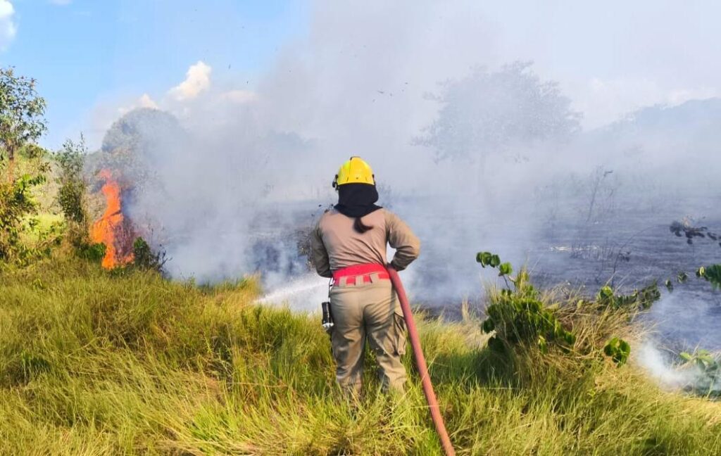 CBMAM 20 MIL FOCOS DE INCENDIO COMBATIDOS 2 1024x648 1