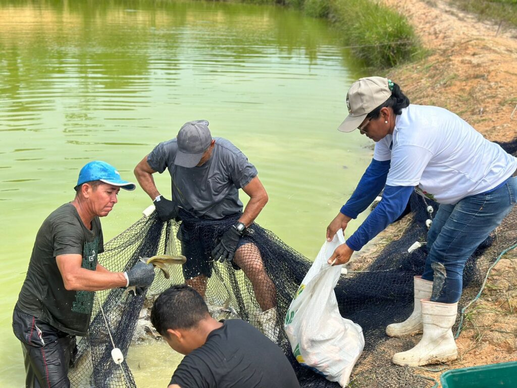 ADS Feirao do Pescado Edicao especial deve movimentar mais de R 2 milhoes com a venda de pescado nesta sexta feira em Manaus Foto Divulgacao ADS 2 1024x768 1