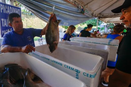 FEIRAO PESCADO 2 1