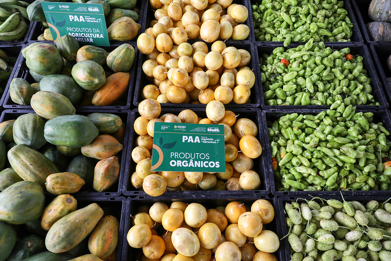 Mais de 24 mil pessoas sao beneficiadas com alimentos da agricultura familiar entregues pelo Governo do Amazonas Foto Alex Pazuello Secom 1