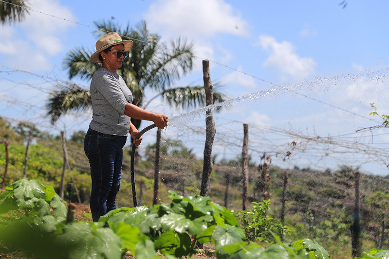 Remissao de debitos do Governo do Amazonas 1 PRODUTORA RURAL MAURO NETO SECOM