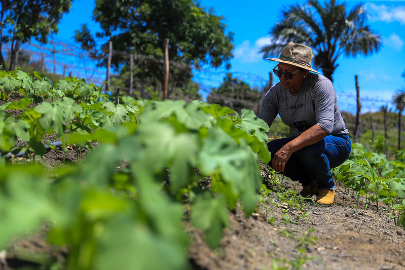 Remissao de debitos do Governo do Amazonas 2 PRODUTORA RURAL MAURO NETO SECOM