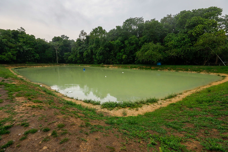 Remissao de debitos do Governo do Amazonas 3 TANQUE DE ALEVINO MAURO NETO SECOM