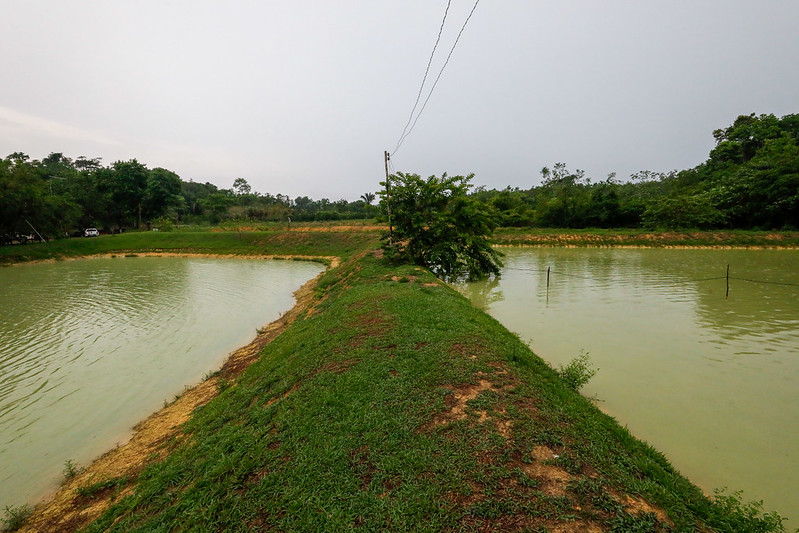 Remissao de debitos do Governo do Amazonas 4 TANQUE DE ALEVINO MAURO NETO SECOM