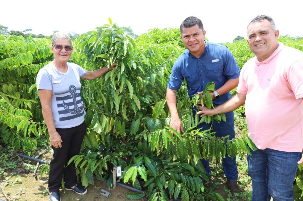 Cafeicultura: Governo do Amazonas incentiva crescimento do setor em Iranduba 13 Sepror 4 Safra de cafe robusta amazonico Edna Pereira Secretario Daniel Borges Secretario de Producao de Iranduba Jose Augusto Foto Emerson Martins Sepror 1024x682 1