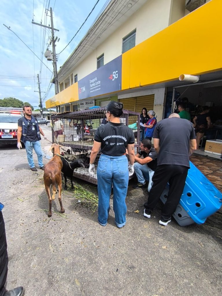 ADAF FOTO6 ADAF APREENDE CARNE EM ESTABELECIMENTO CLANDESTINO 768x1024 1